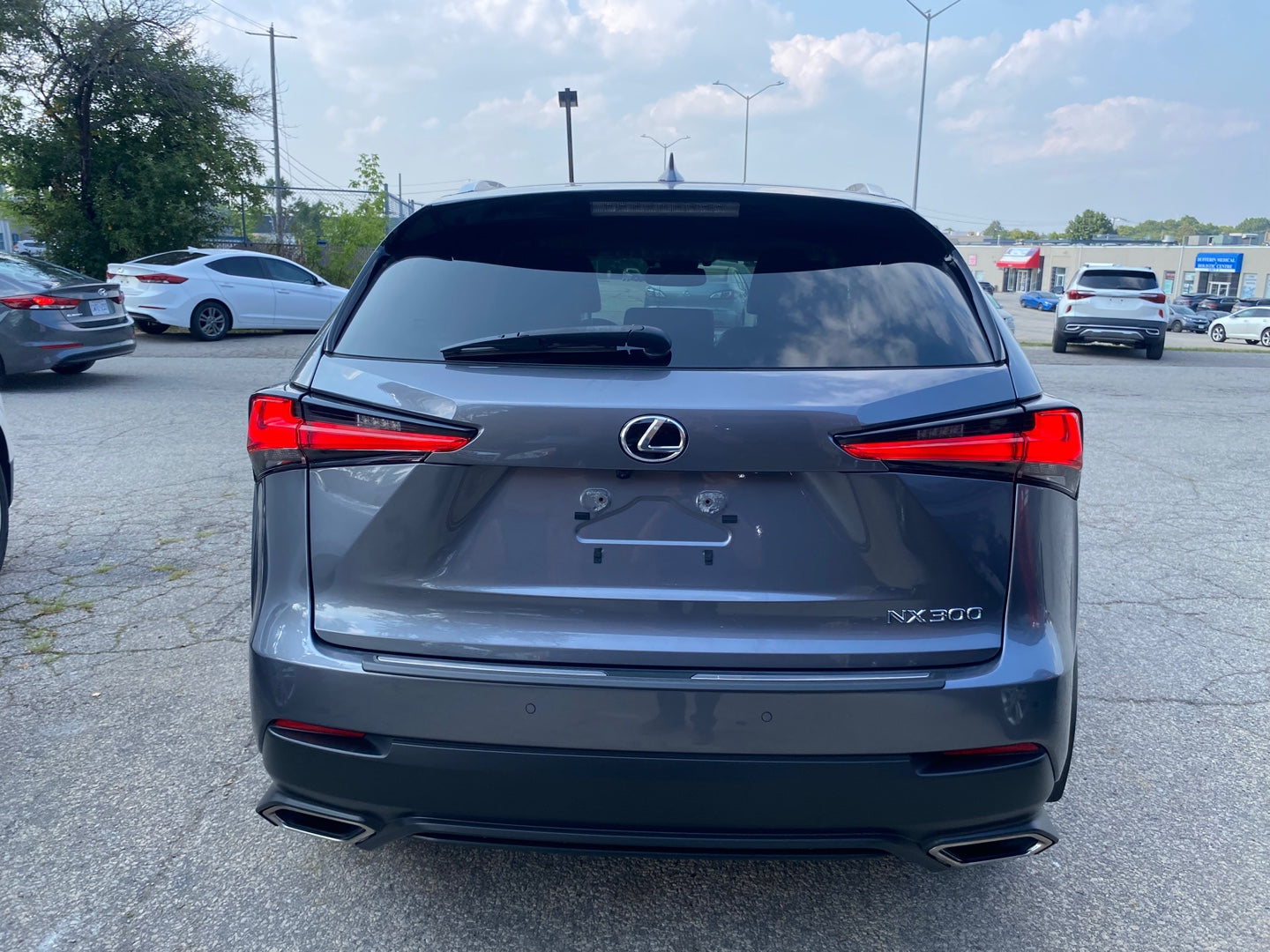LEXUS NX300 2020
